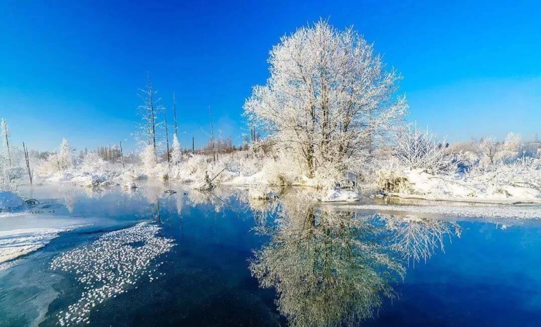 助力洲际酒店集团中国区酒店业主协会(图15)